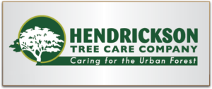 Hendrickson Tree Care Kansas City, MO