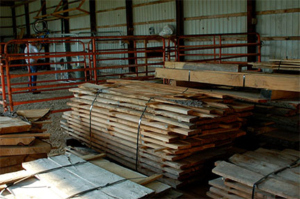 urban forest products inventory